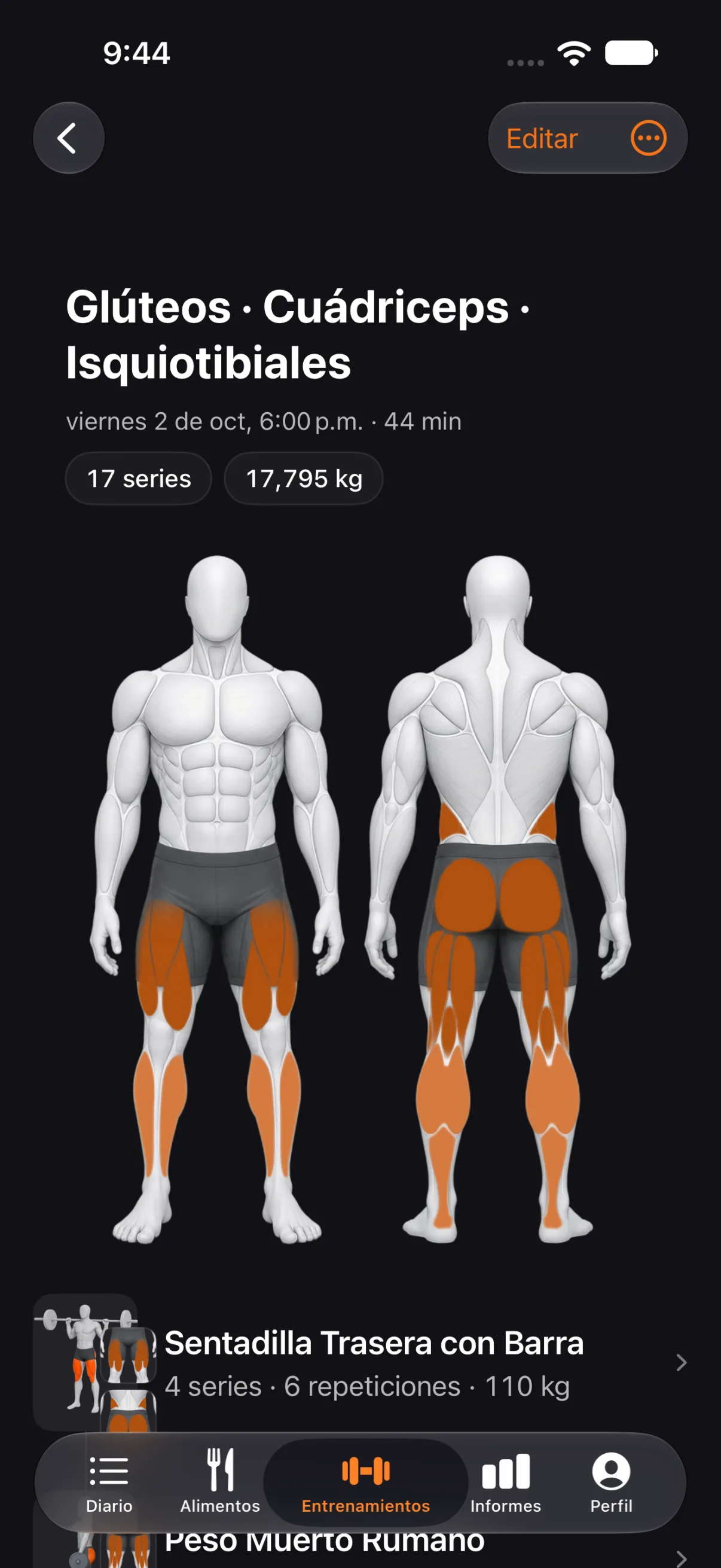 Los músculos de un entrenamiento en la figura, sus series, el peso total y cada ejercicio. Puedes editar cualquier serie después.